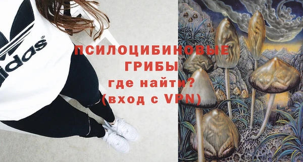 СК Абдулино