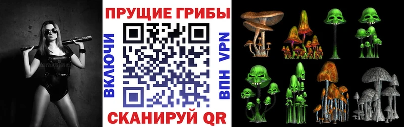 Псилоцибиновые грибы Psilocybine cubensis  Менделеевск 