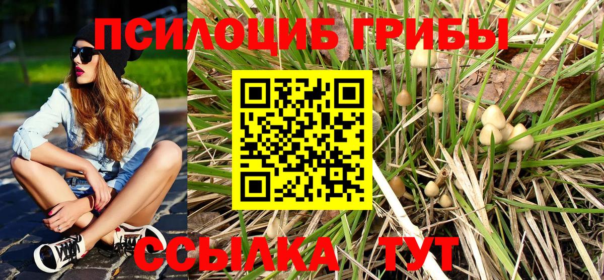 Псилоцибиновые грибы Magic Shrooms Менделеевск