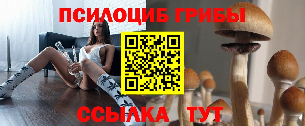 Менделеевск  Псилоцибиновые грибы мицелий  Галлюциногенные грибы Cubensis  Вход с VPN 