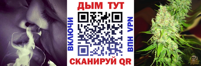 Каннабис SATIVA & INDICA как найти Менделеевск